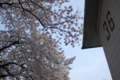 20110410175352
