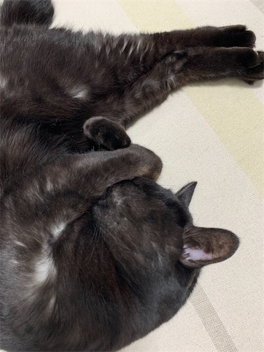 f:id:sykmp:20260201113120j:image