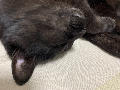 f:id:sykmp:20260201113123j:image