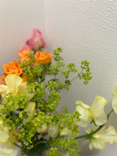 f:id:sykmp:20260620223237j:image