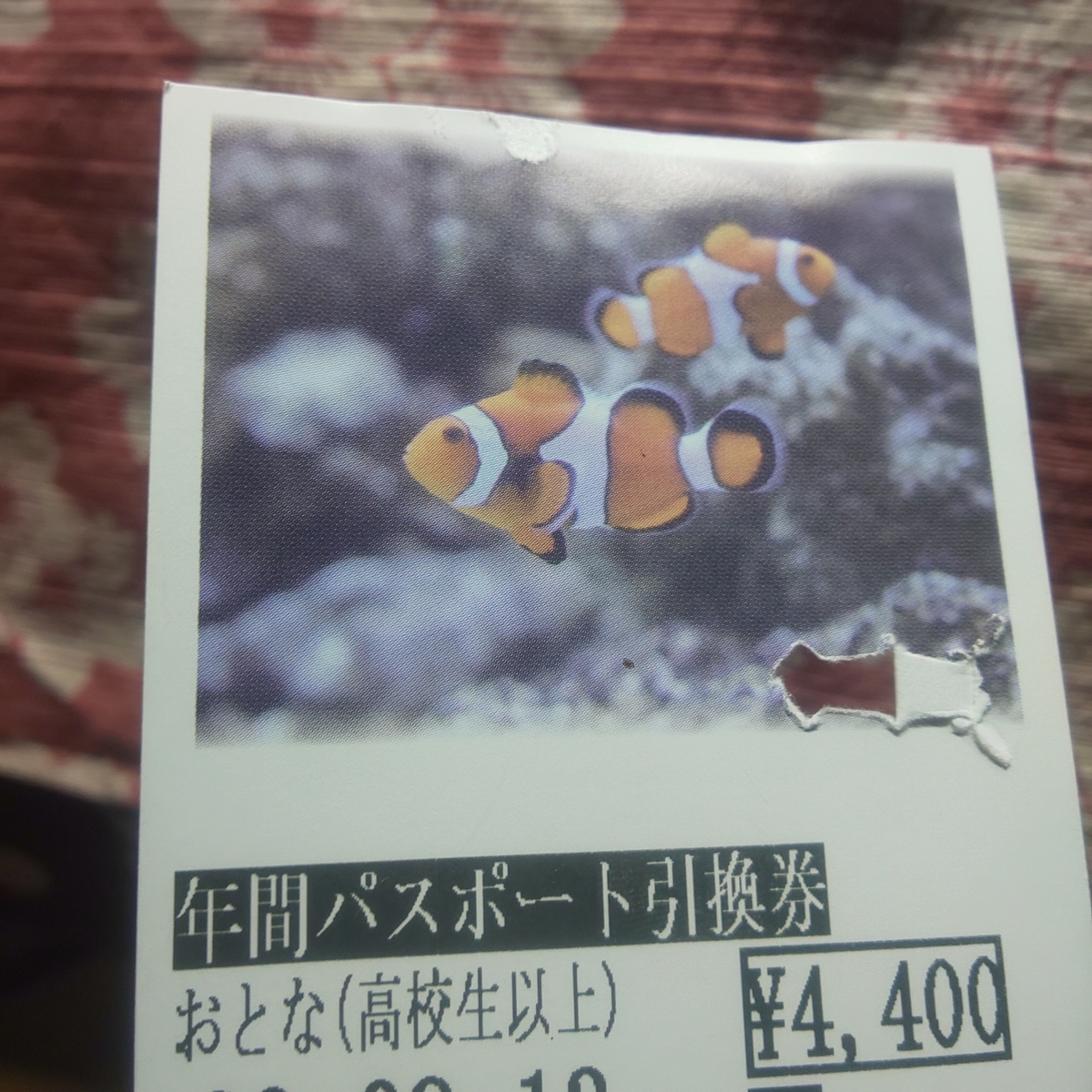 f:id:syko_monky:20200921223330j:plain