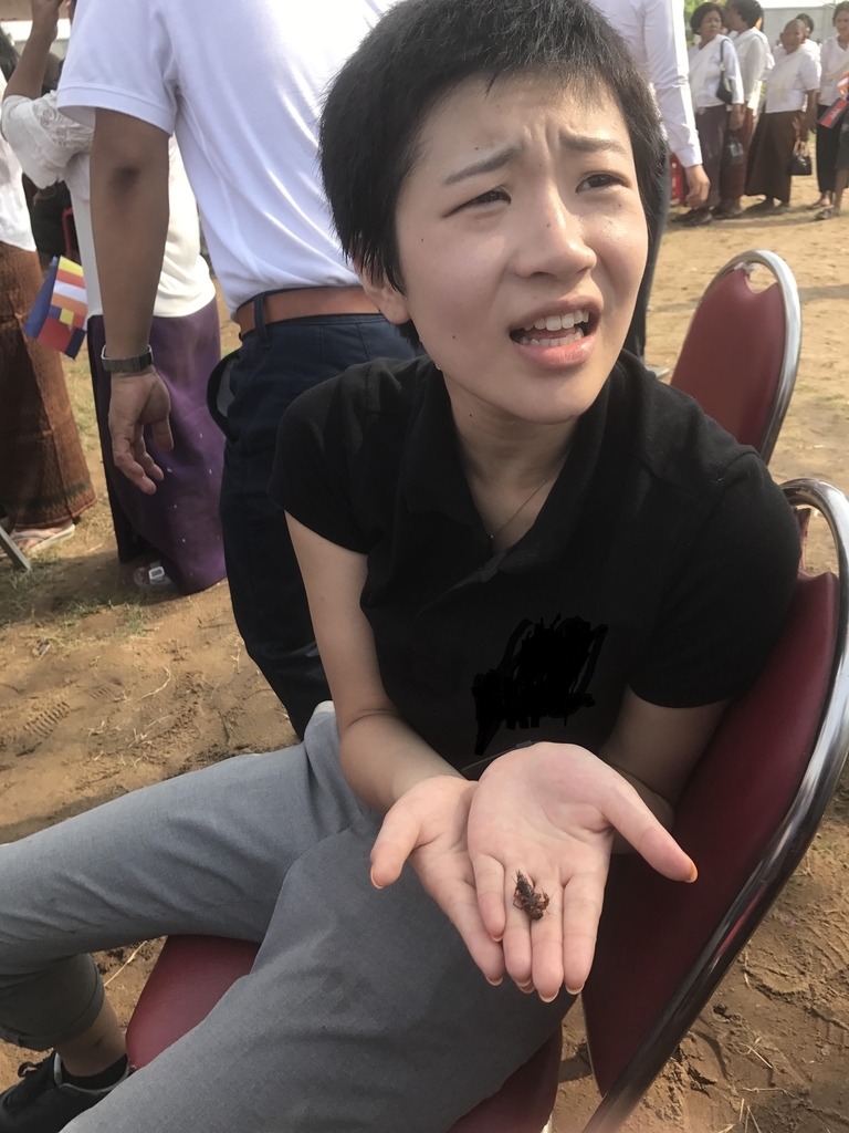 f:id:sykud:20181113190145j:plain f:id:sykud:20181113190145j:plain
