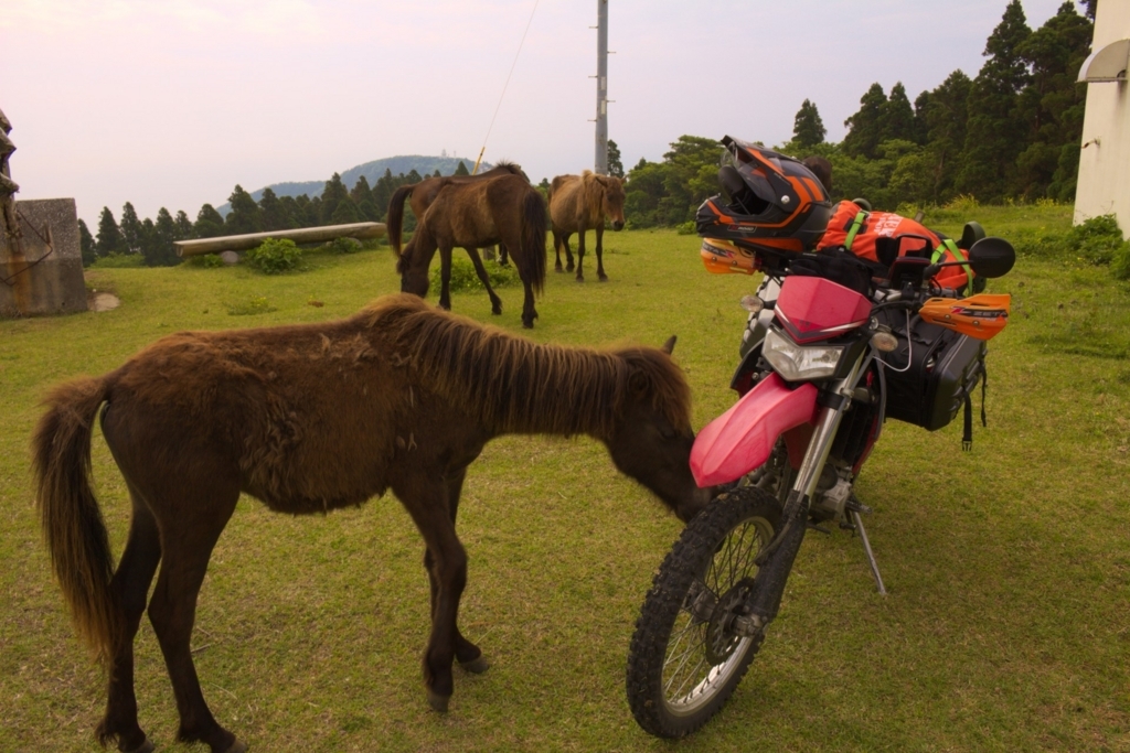 f:id:syllo:20180505175238j:plain f:id:syllo:20180505175238j:plain
