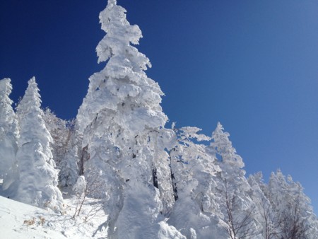 f:id:sylph01:20120220135106j:image f:id:sylph01:20120220135106j:image