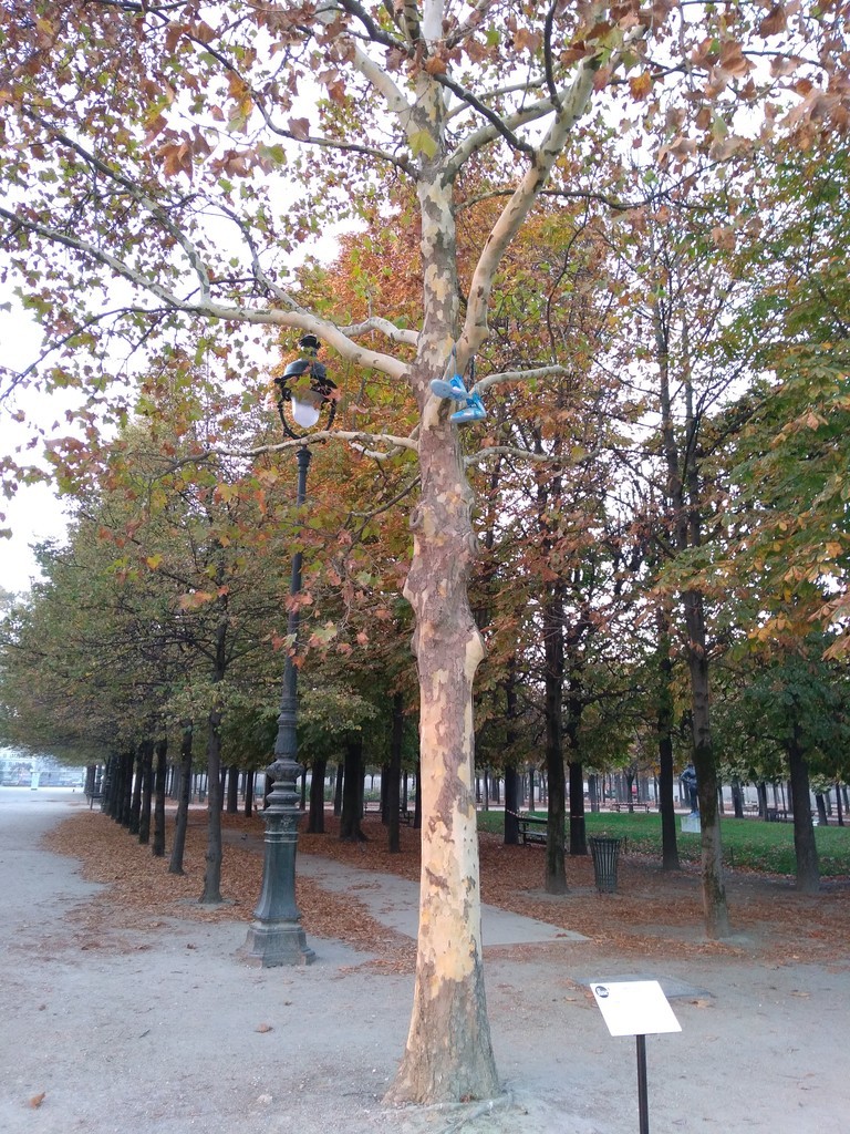 f:id:sylph01:20181021083801j:plain