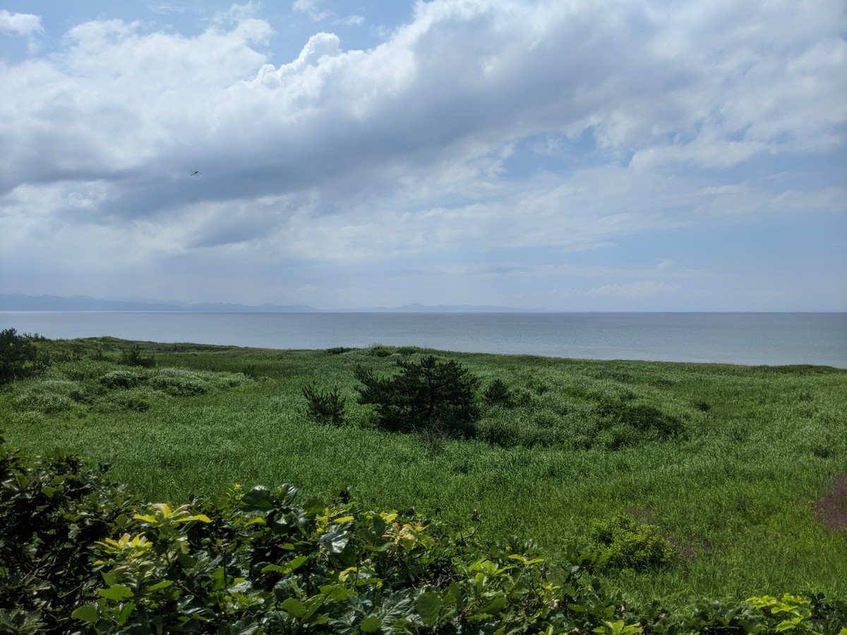 f:id:sylph01:20210729131645j:plain