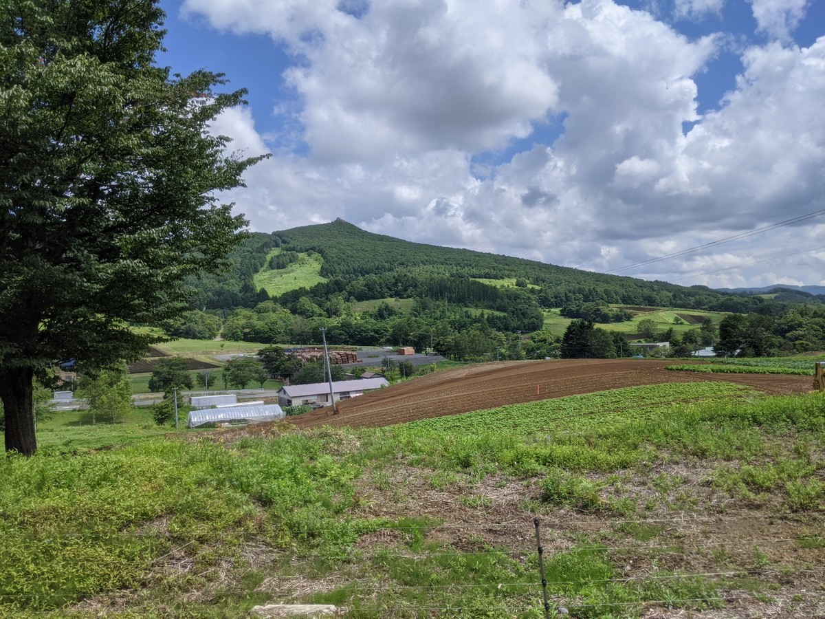 f:id:sylph01:20210730105521j:plain