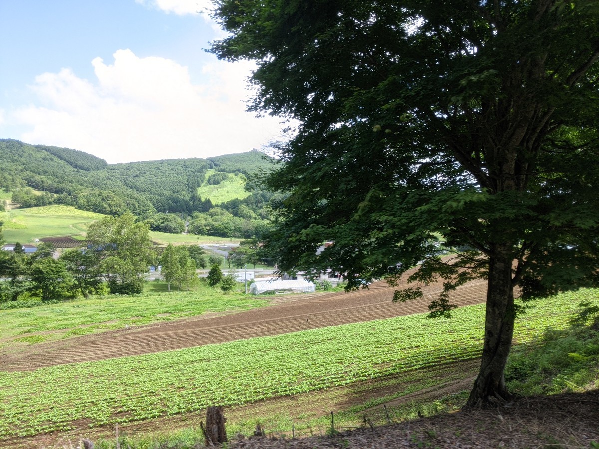 f:id:sylph01:20210730105523j:plain