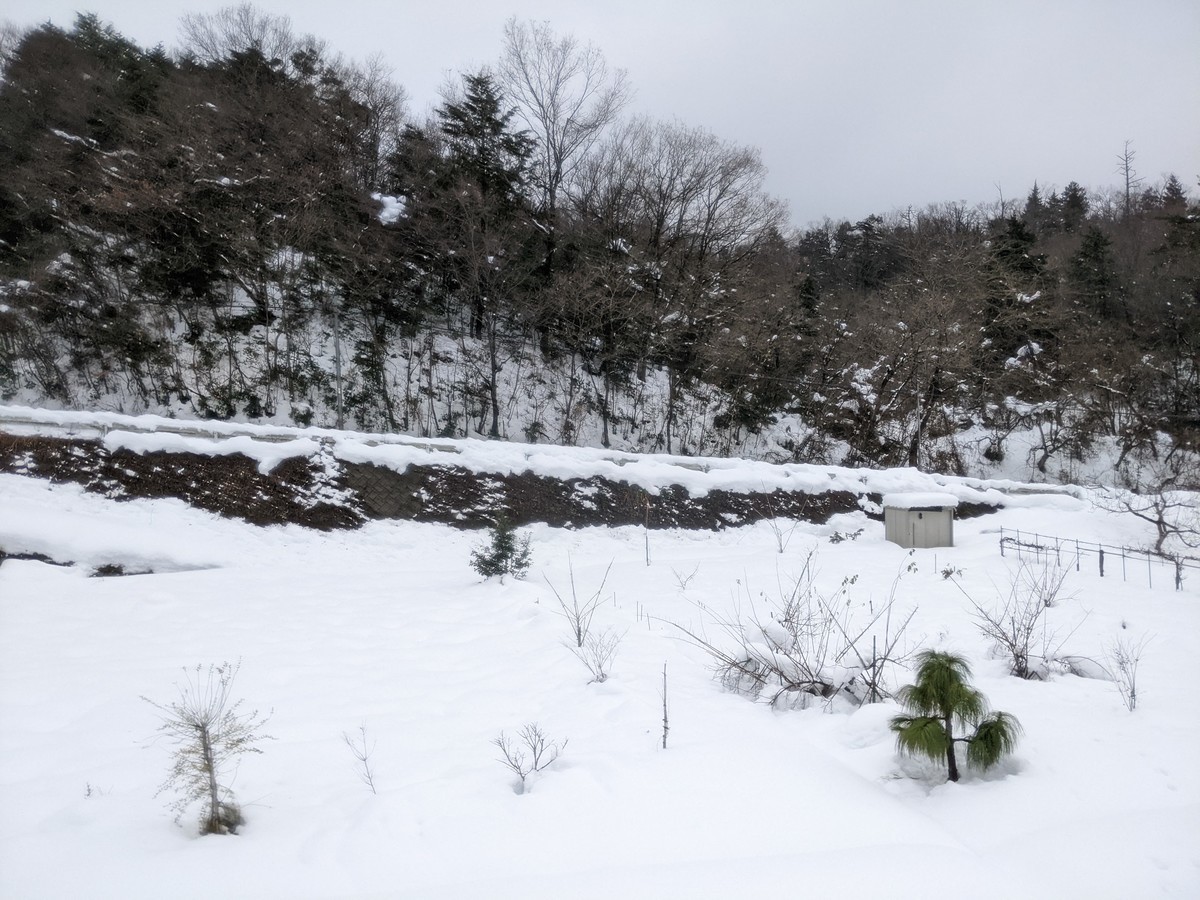 f:id:sylph01:20211228123534j:plain