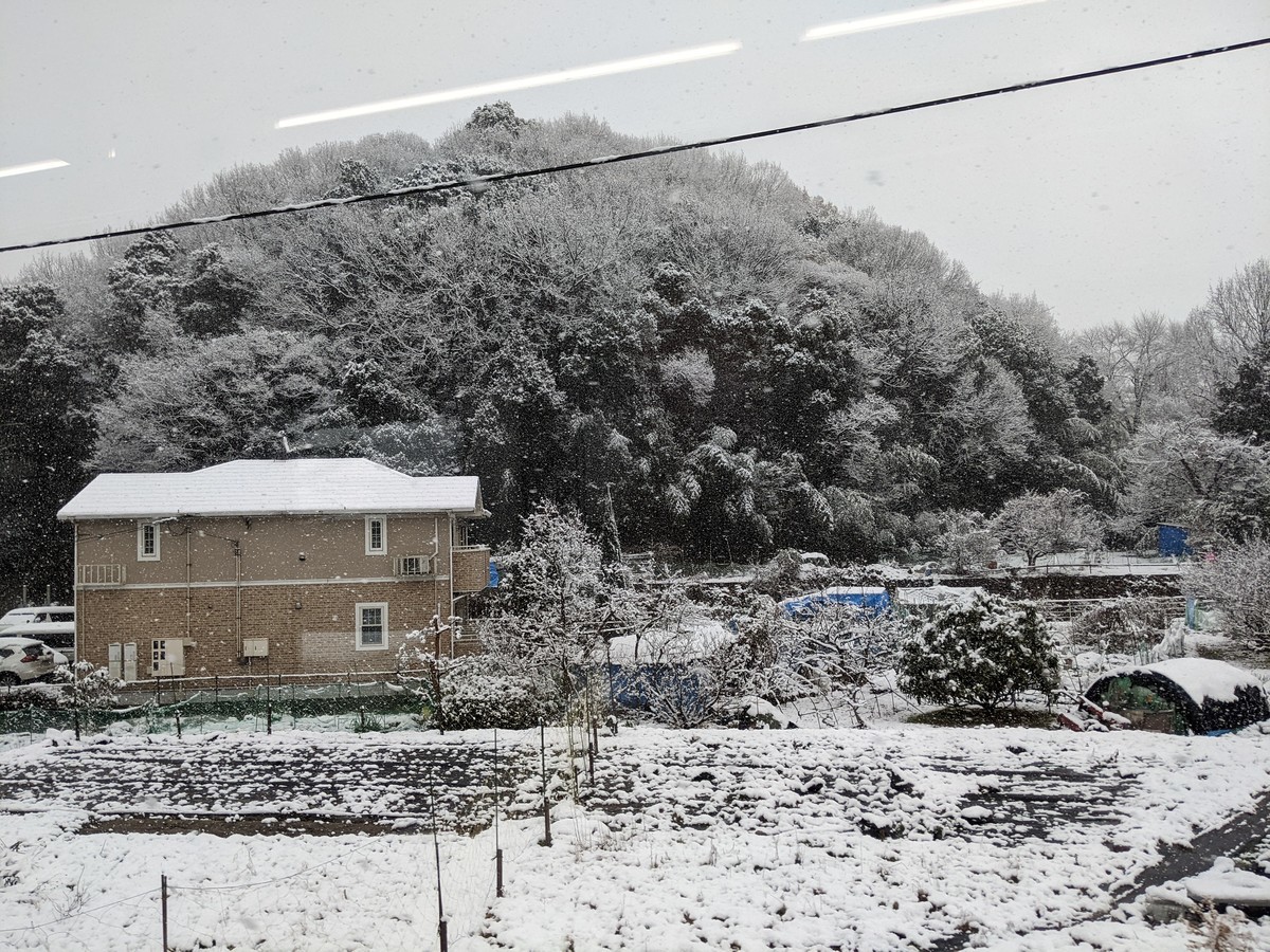 f:id:sylph01:20211231104045j:plain