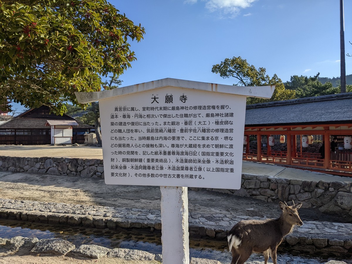 f:id:sylph01:20220101092021j:plain