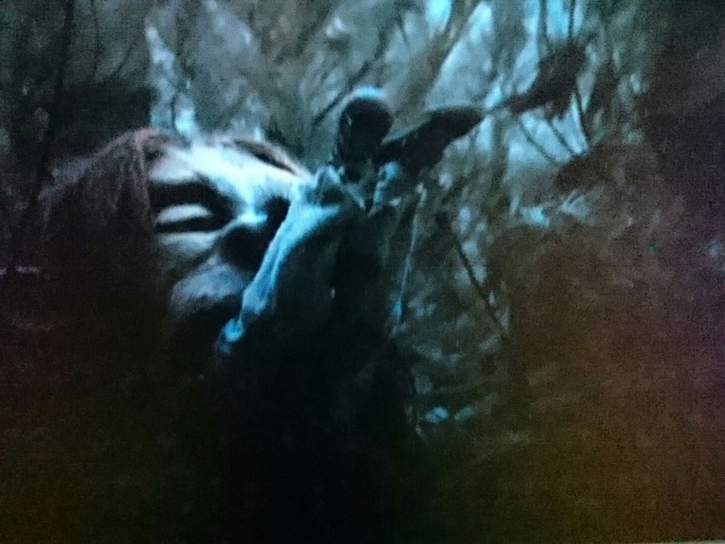 f:id:sylphes:20170124143505j:plain