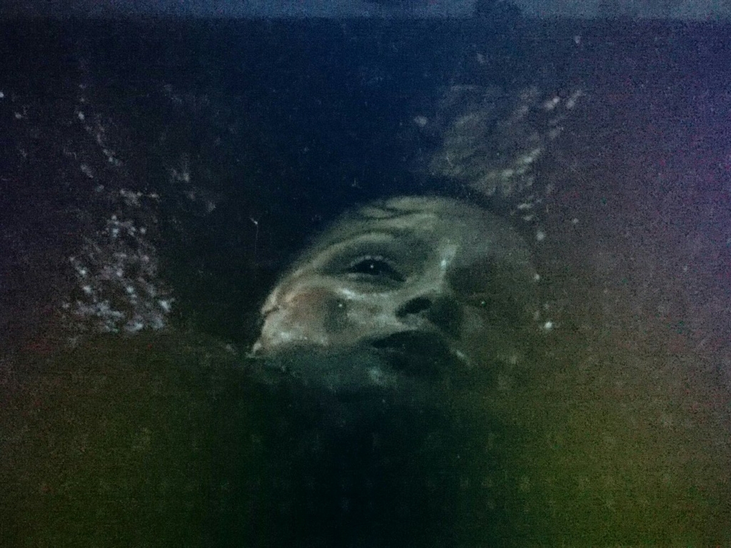 f:id:sylphes:20170124143602j:plain