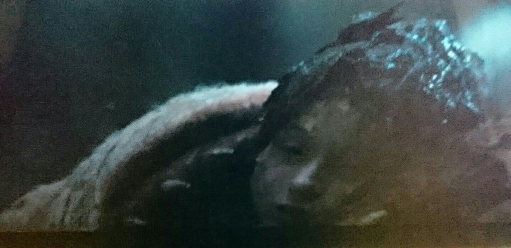 f:id:sylphes:20170124143616j:plain