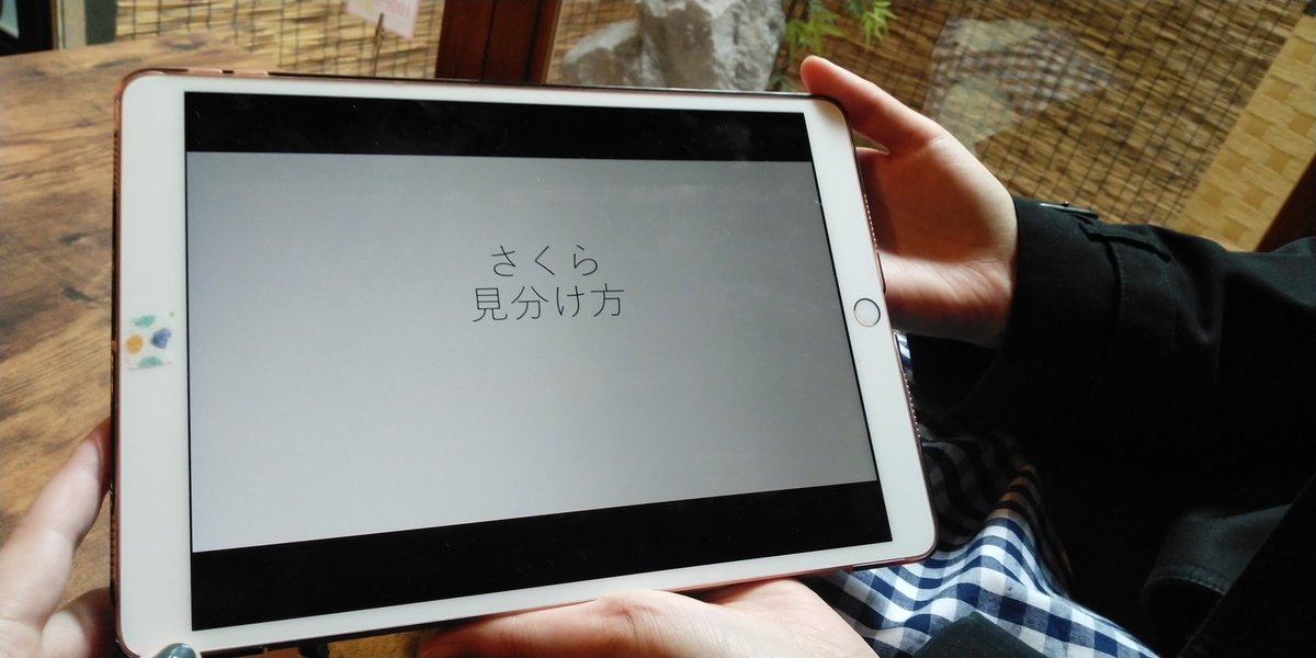 f:id:sylphes:20210526193534j:plain