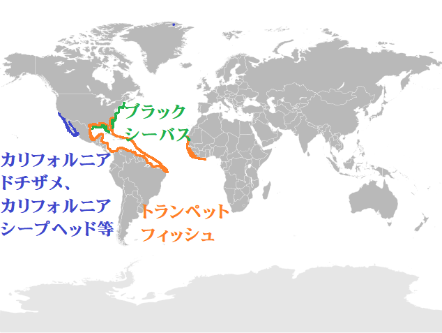 f:id:sylphes:20210810020256p:plain