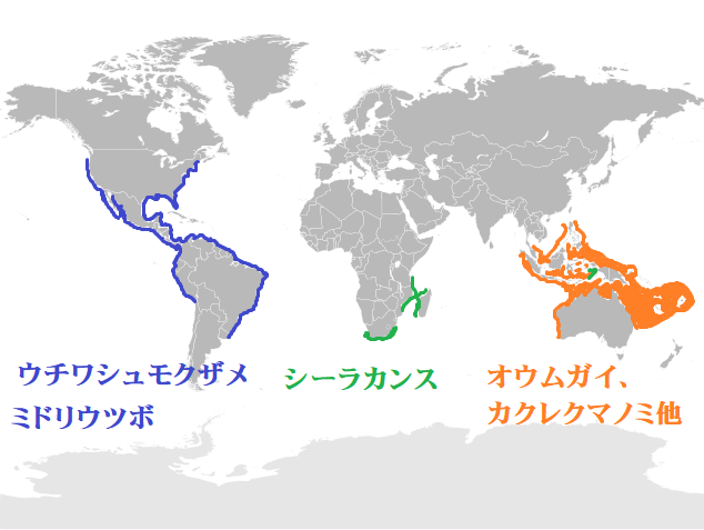 f:id:sylphes:20210810141347p:plain