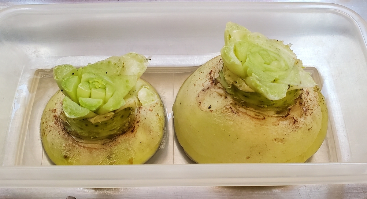 f:id:sylvaniantedukuri:20191027200233j:plain