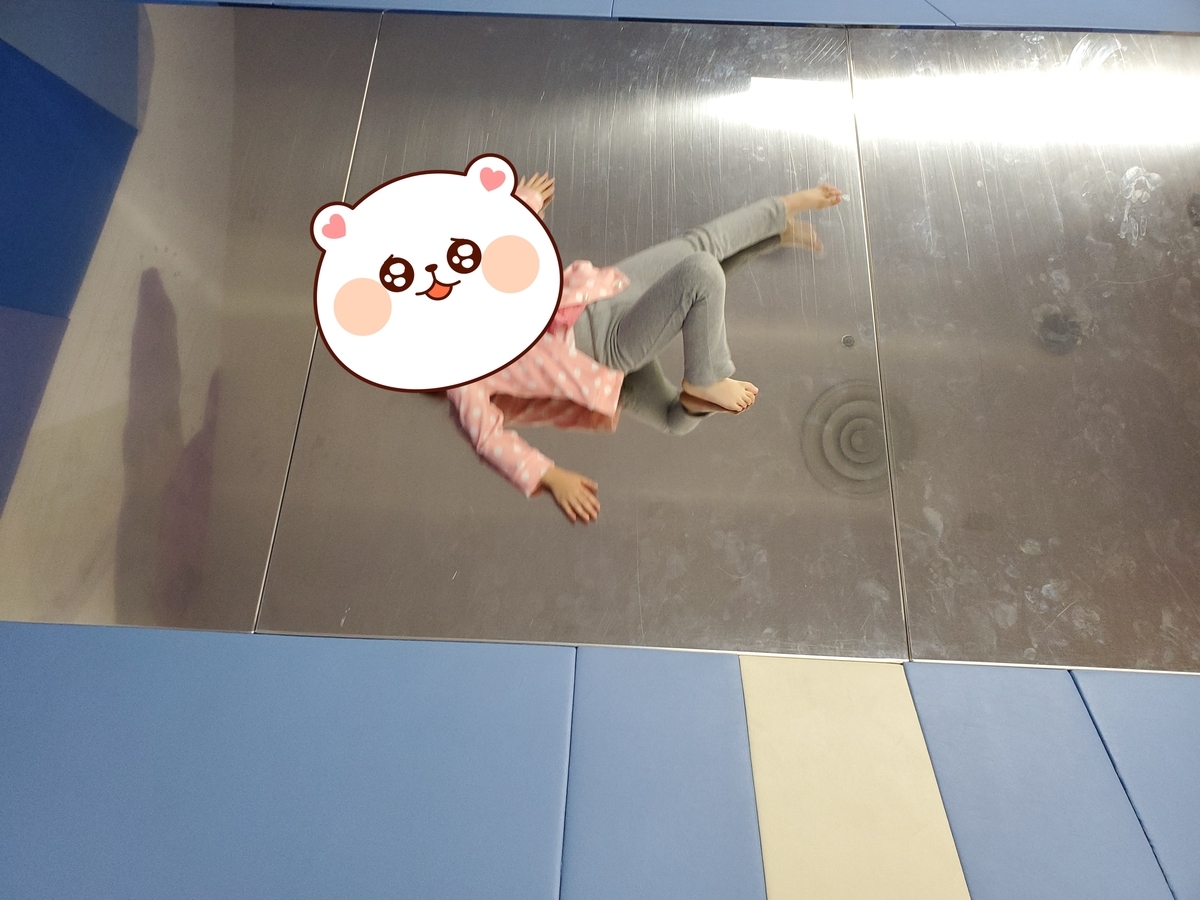 f:id:sylvaniantedukuri:20191231121622j:plain