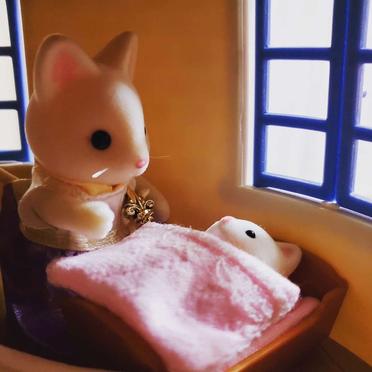 f:id:sylvaniantedukuri:20200129184424j:plain