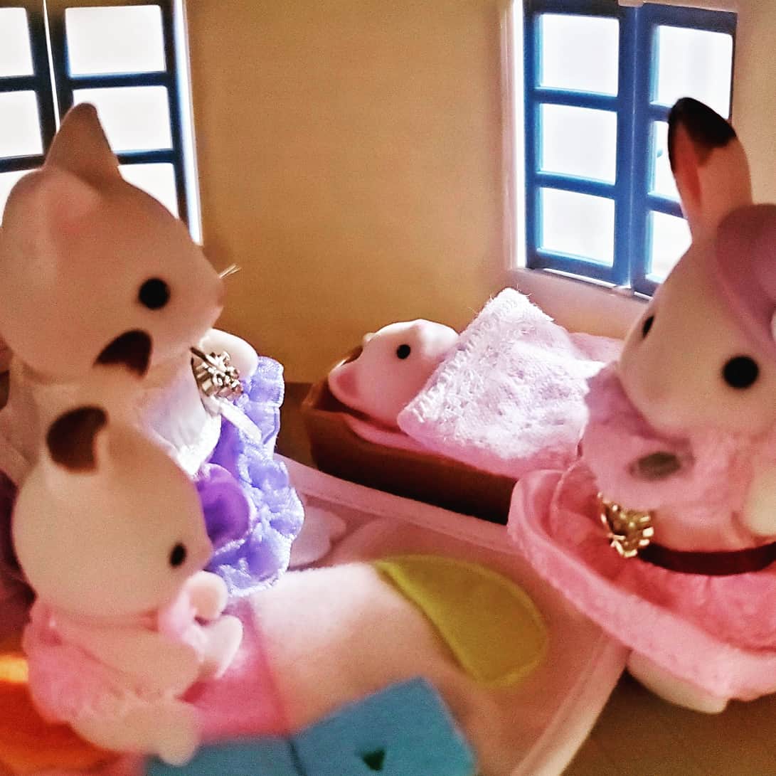 f:id:sylvaniantedukuri:20200129184519j:plain