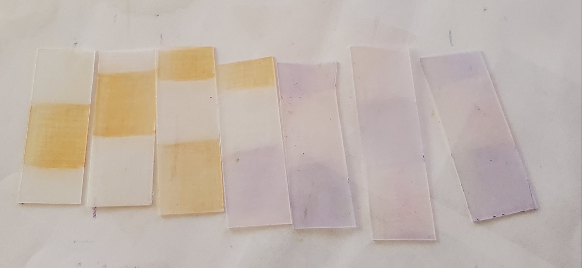 f:id:sylvaniantedukuri:20200411214305j:plain