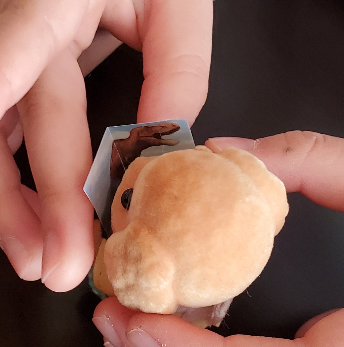 f:id:sylvaniantedukuri:20200411221629j:plain