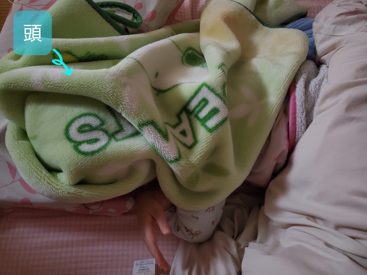 f:id:sylvaniantedukuri:20200523204821j:plain