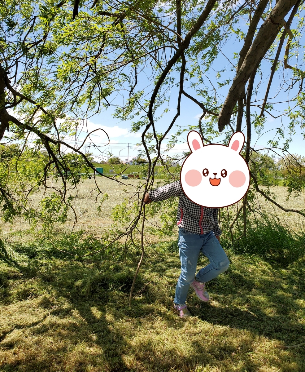 f:id:sylvaniantedukuri:20200607202319j:plain
