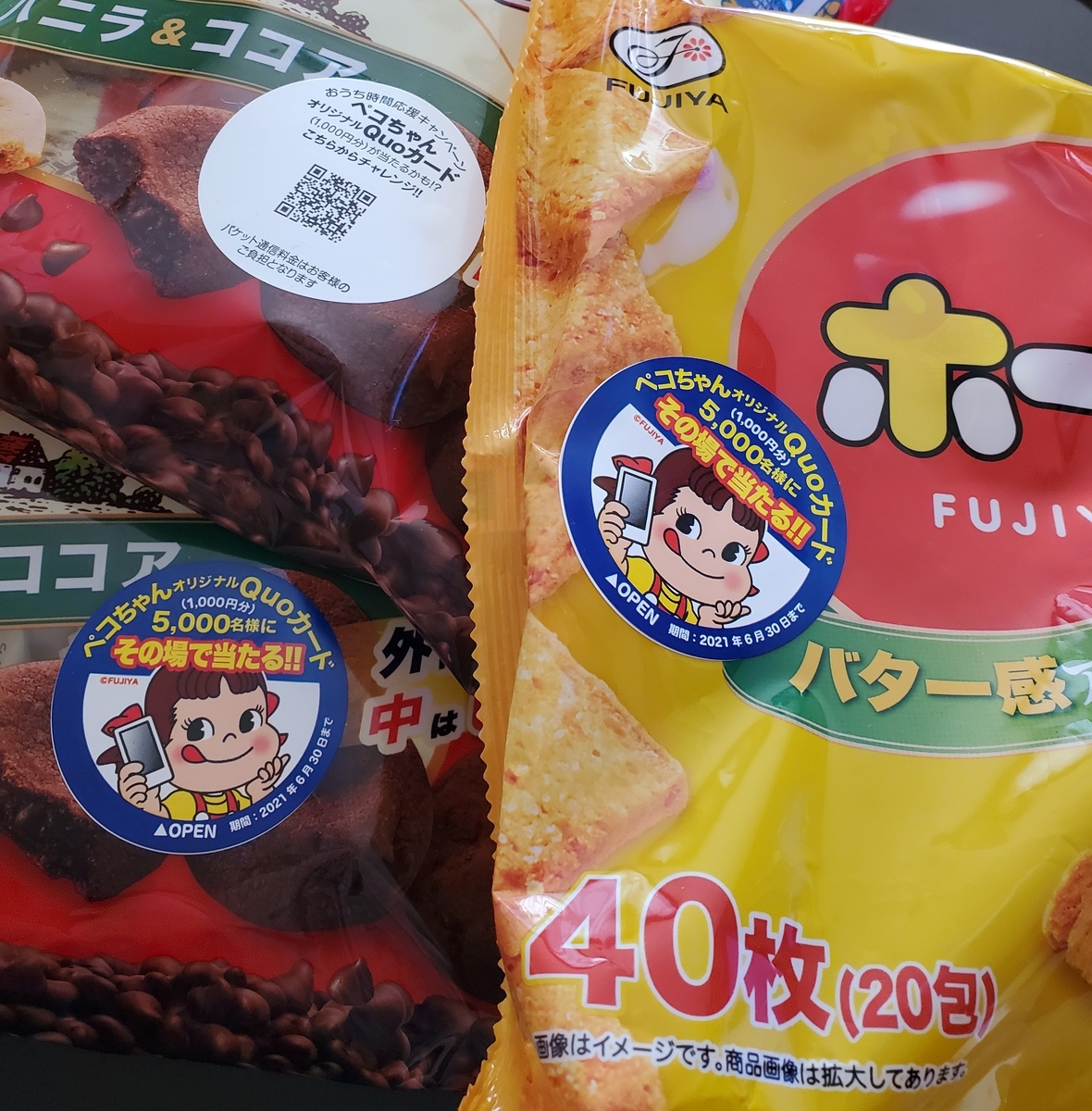 f:id:sylvaniantedukuri:20210129120148j:plain