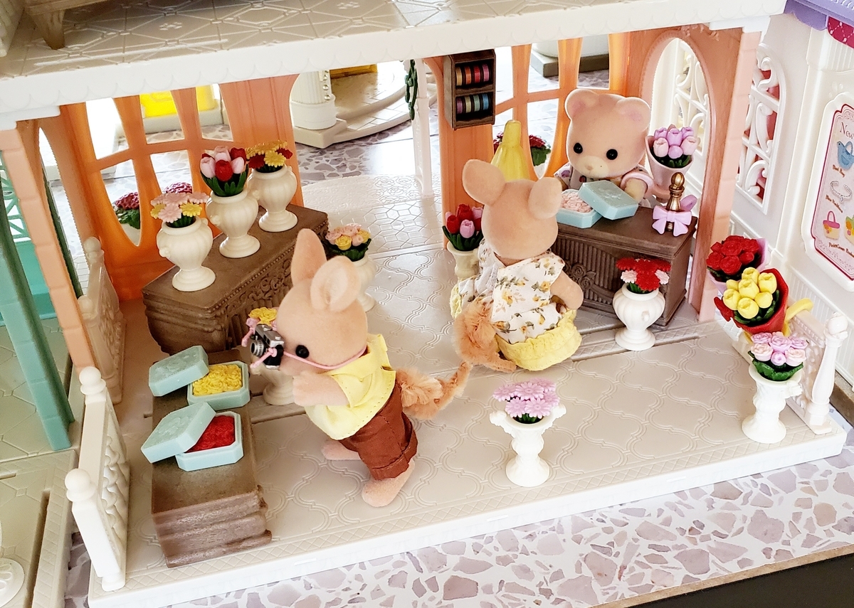 f:id:sylvaniantedukuri:20210227160642j:plain