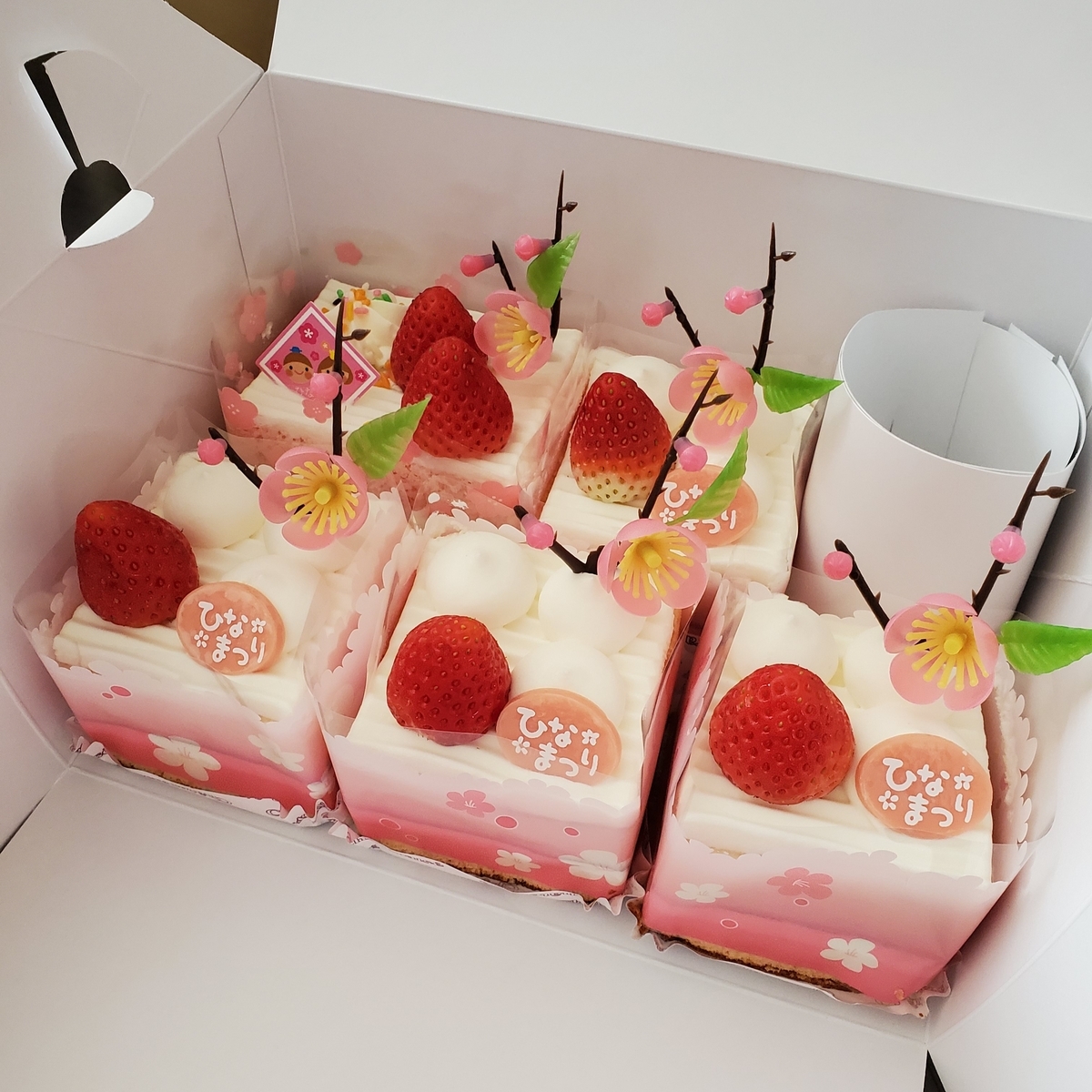 f:id:sylvaniantedukuri:20210303115212j:plain