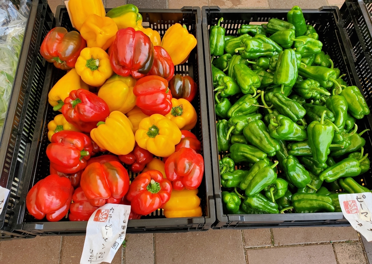 f:id:sylvaniantedukuri:20210825231932j:plain