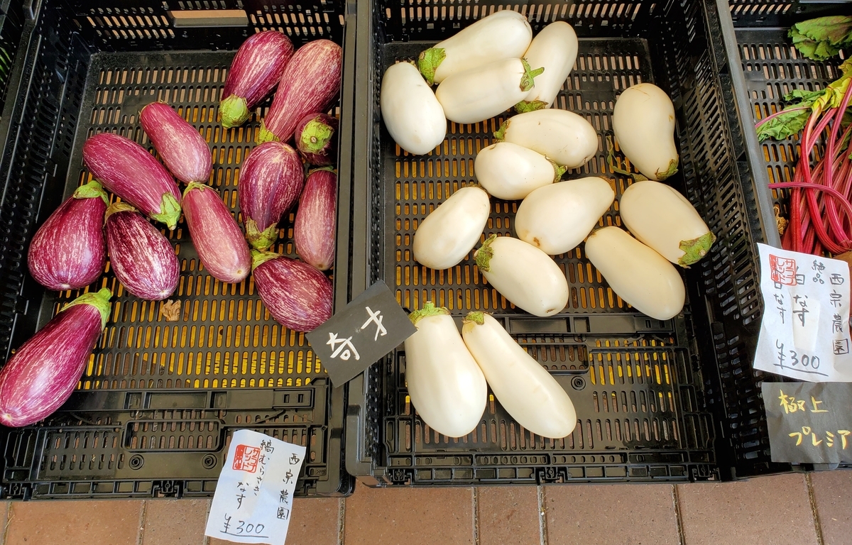 f:id:sylvaniantedukuri:20210825231954j:plain