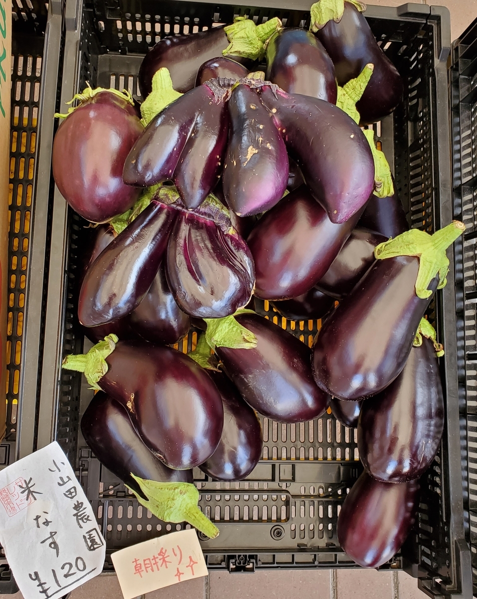 f:id:sylvaniantedukuri:20210825232014j:plain