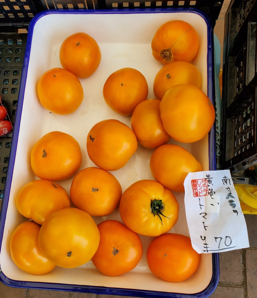 f:id:sylvaniantedukuri:20210825232033j:plain