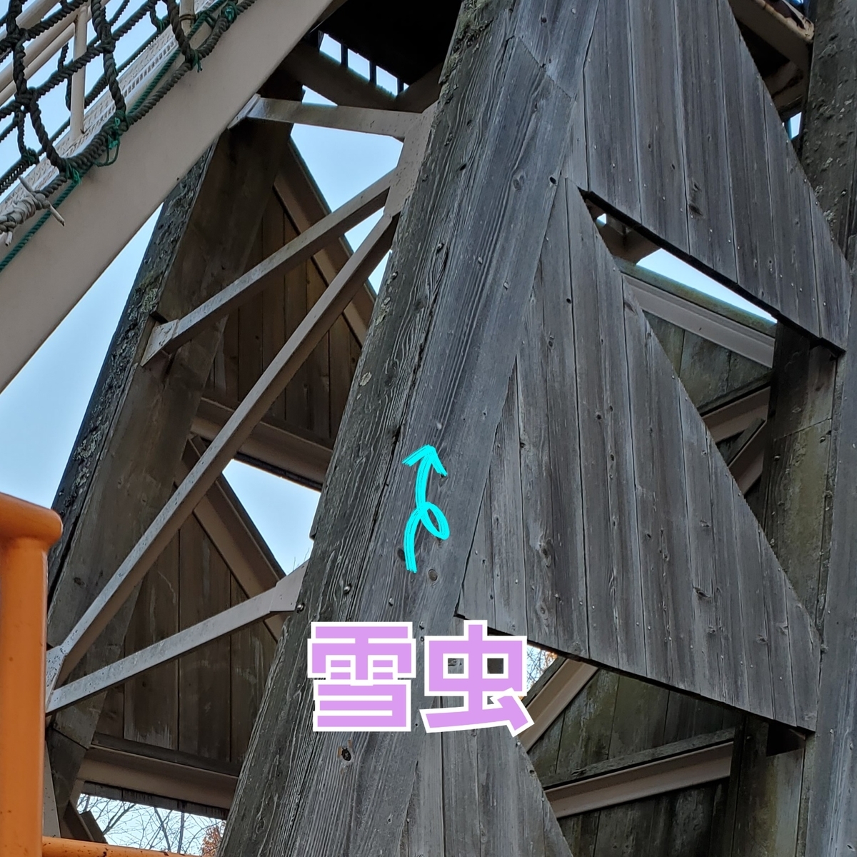 f:id:sylvaniantedukuri:20211031235842j:plain