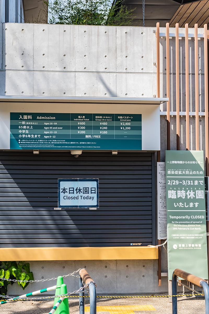 f:id:sylvester:20200322112627j:plain