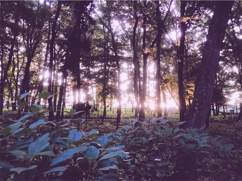f:id:sym-path:20180609213414j:image