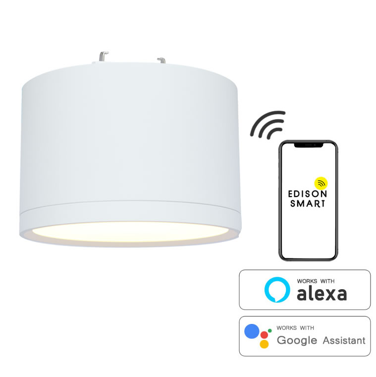 Edison Smart ミニシーリングライトのレビューとHome Assistantへの