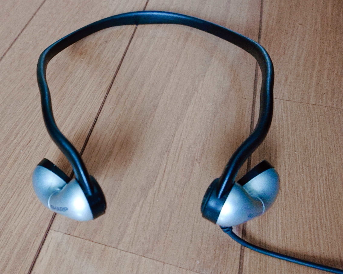 RG-H100-正面