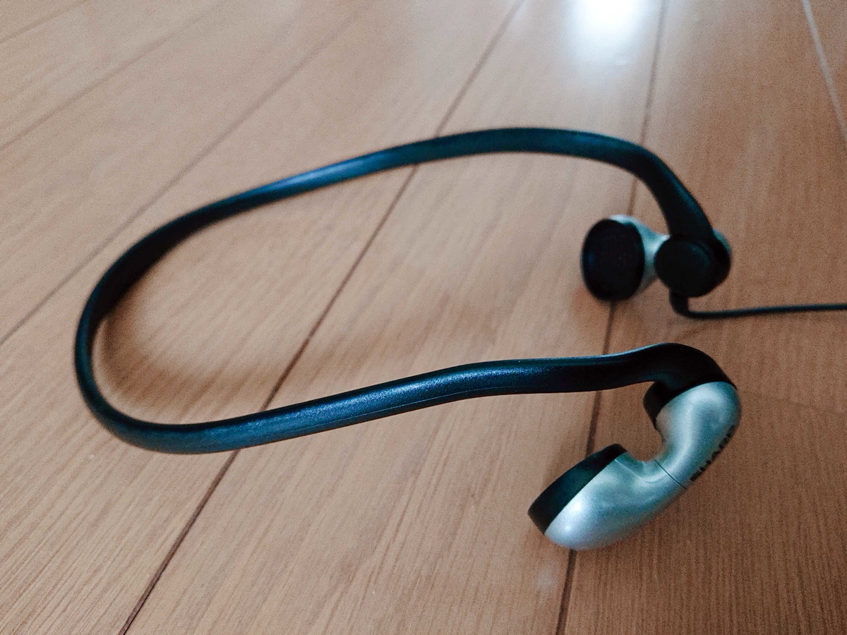 RG-H100-横