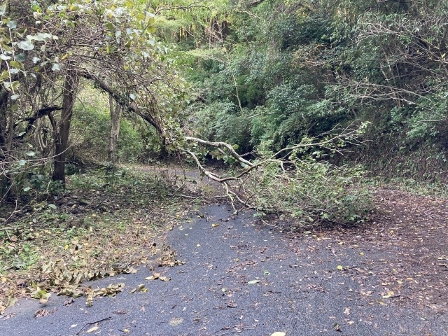 佐賀関サイクリングロード寄り道