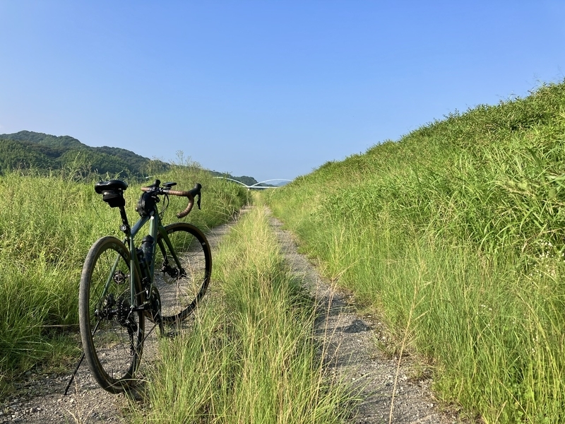 Cannondale Synapse