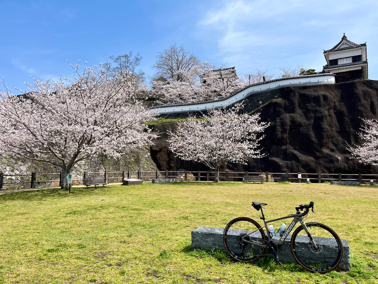 E-BIKEで桜スポットを巡る