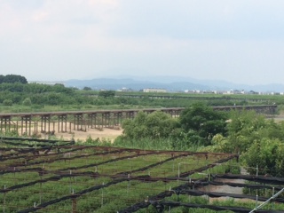 f:id:synce-office:20160814184225j:plain f:id:synce-office:20160814184225j:plain