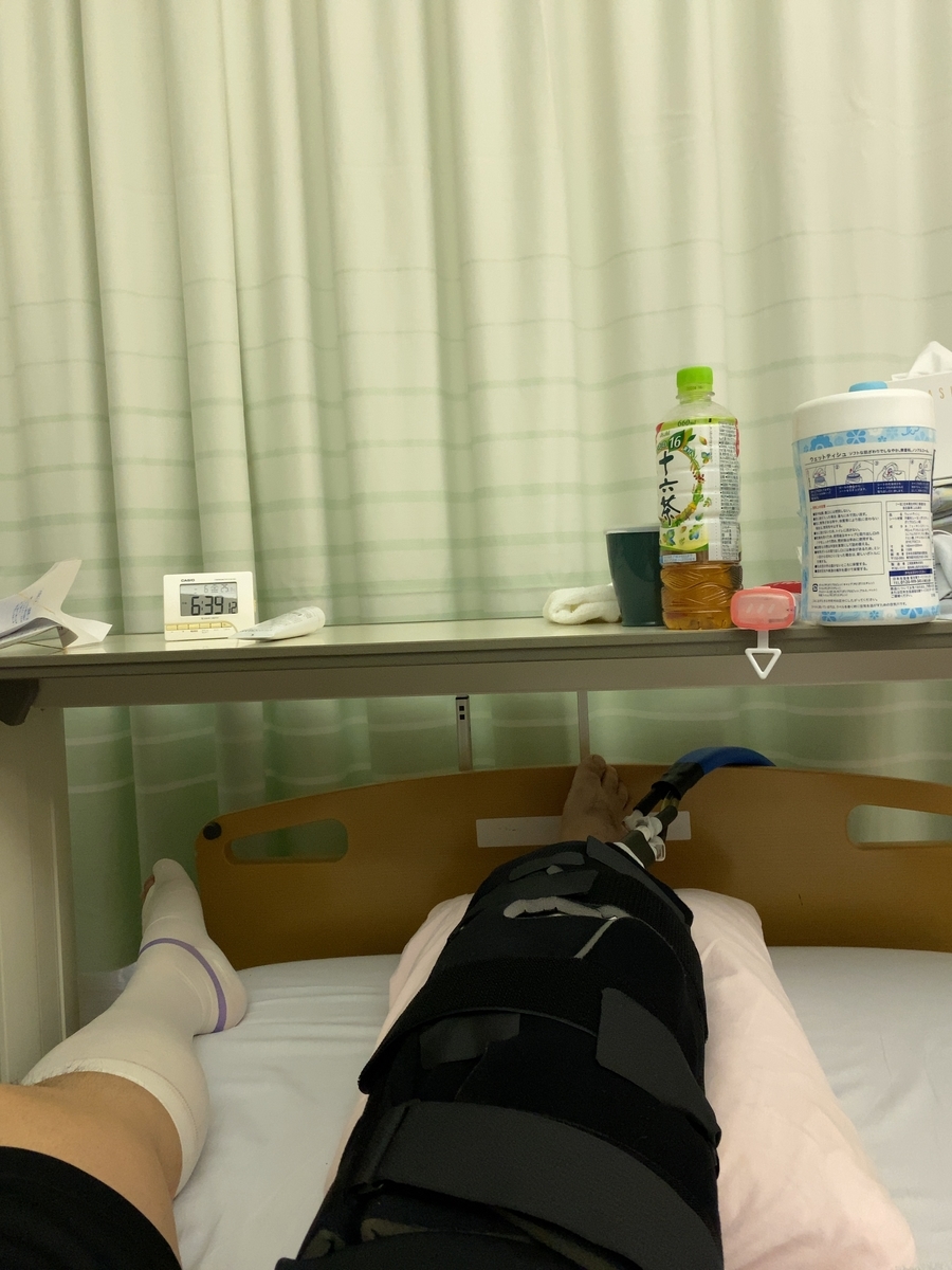 f:id:synechocystis:20200306183858j:plain