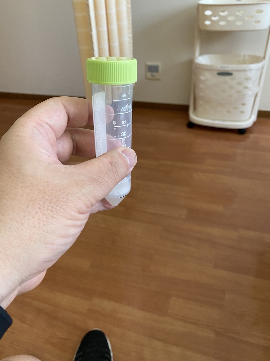 f:id:synechocystis:20210323110403j:plain