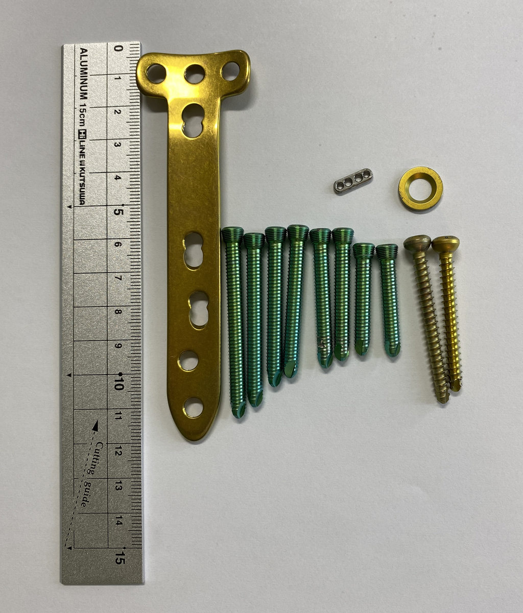 f:id:synechocystis:20210329184926j:plain