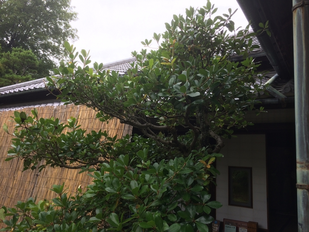 f:id:synme:20170902105214j:plain